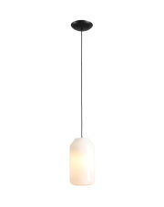 LAMPA WISZĄCA FLASK ORCHID M 8500G1_M ALDEX