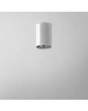 Plafon Pet GU10 42311 Aqform